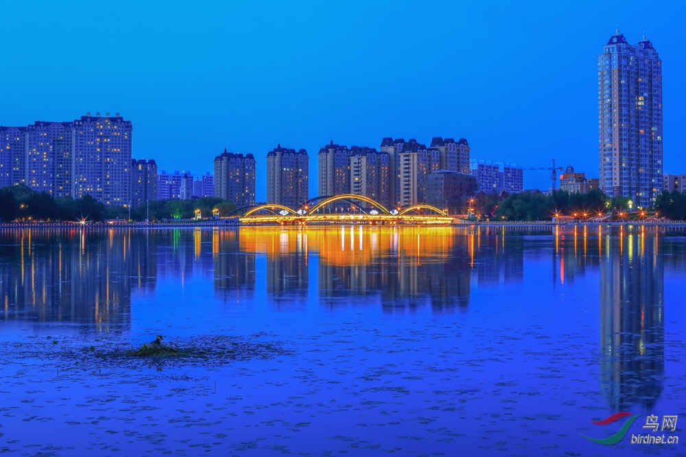 ��Ҳ�ڳ����ﰲ��