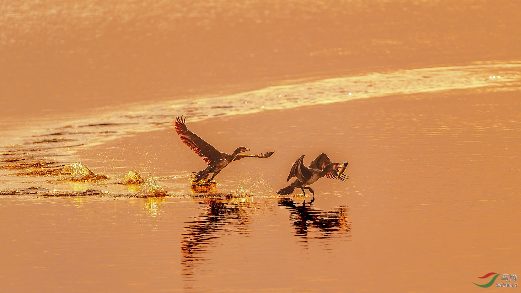 DSC_7030.jpg