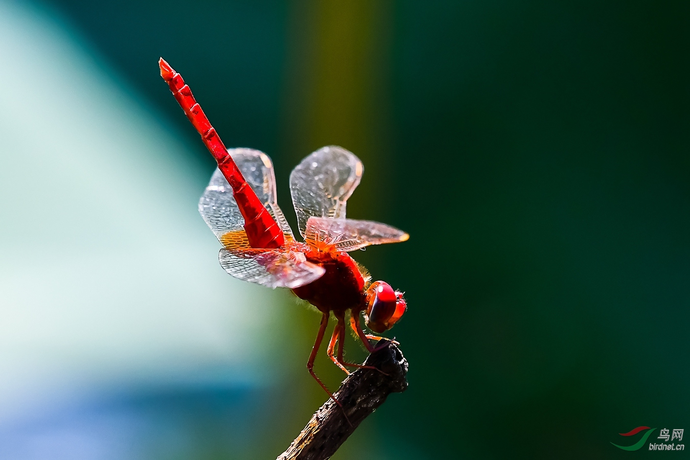 DSC_8492_����.jpg