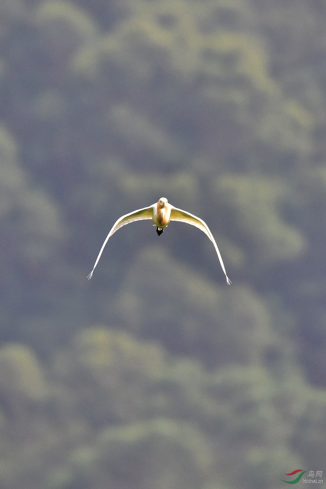 DSC_0829.JPG