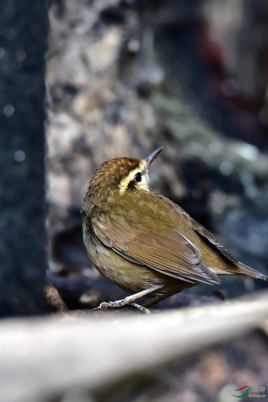 DSC_0349.JPG