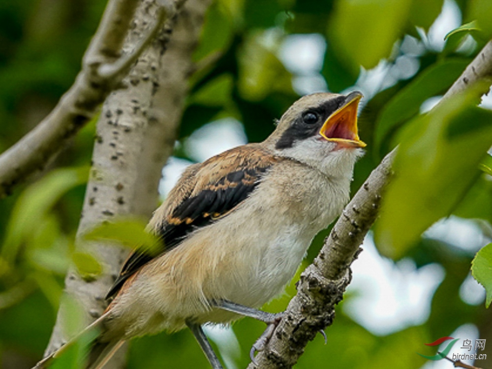 05 ���Ӷ���.jpg