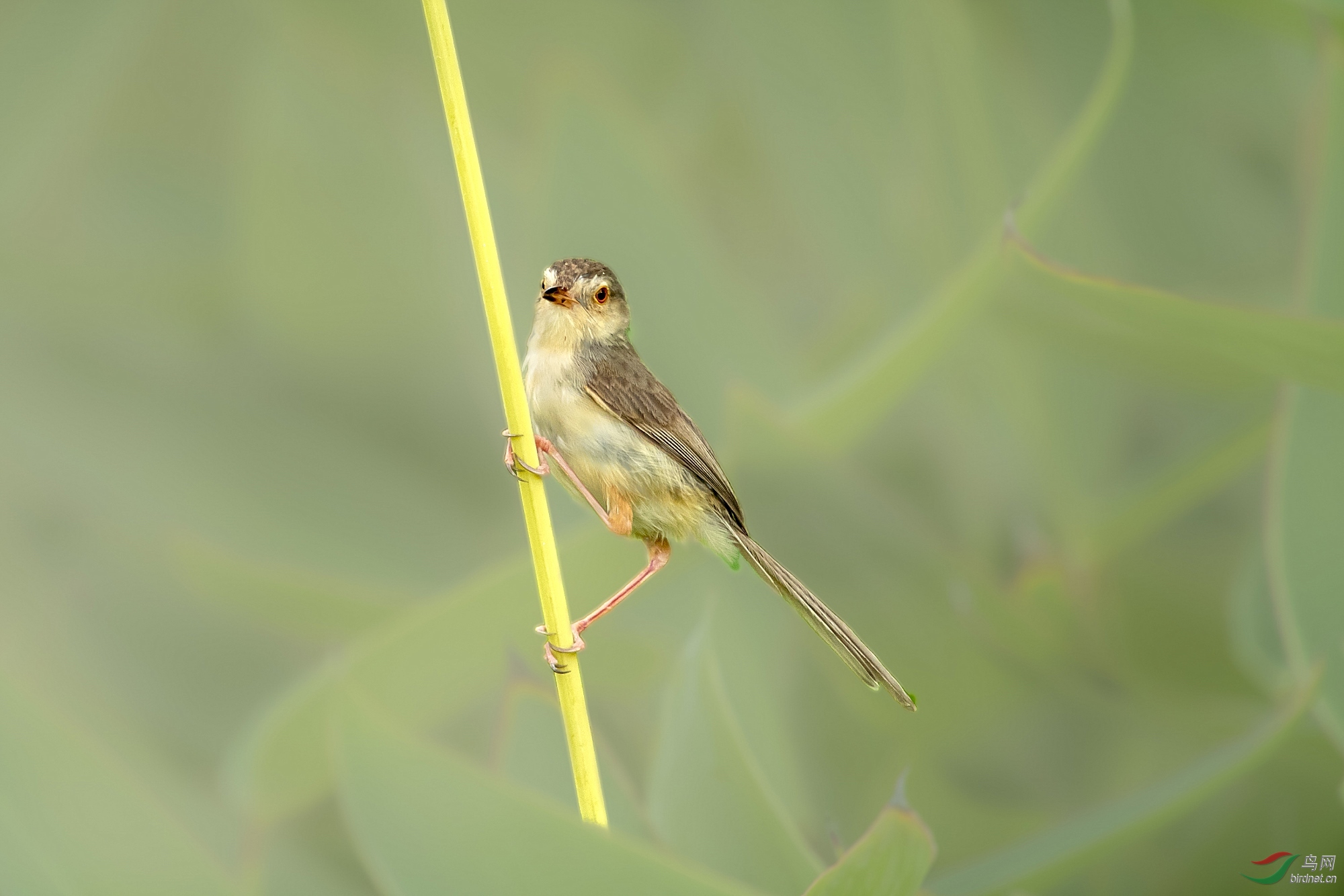 DSC_1855_����.jpg
