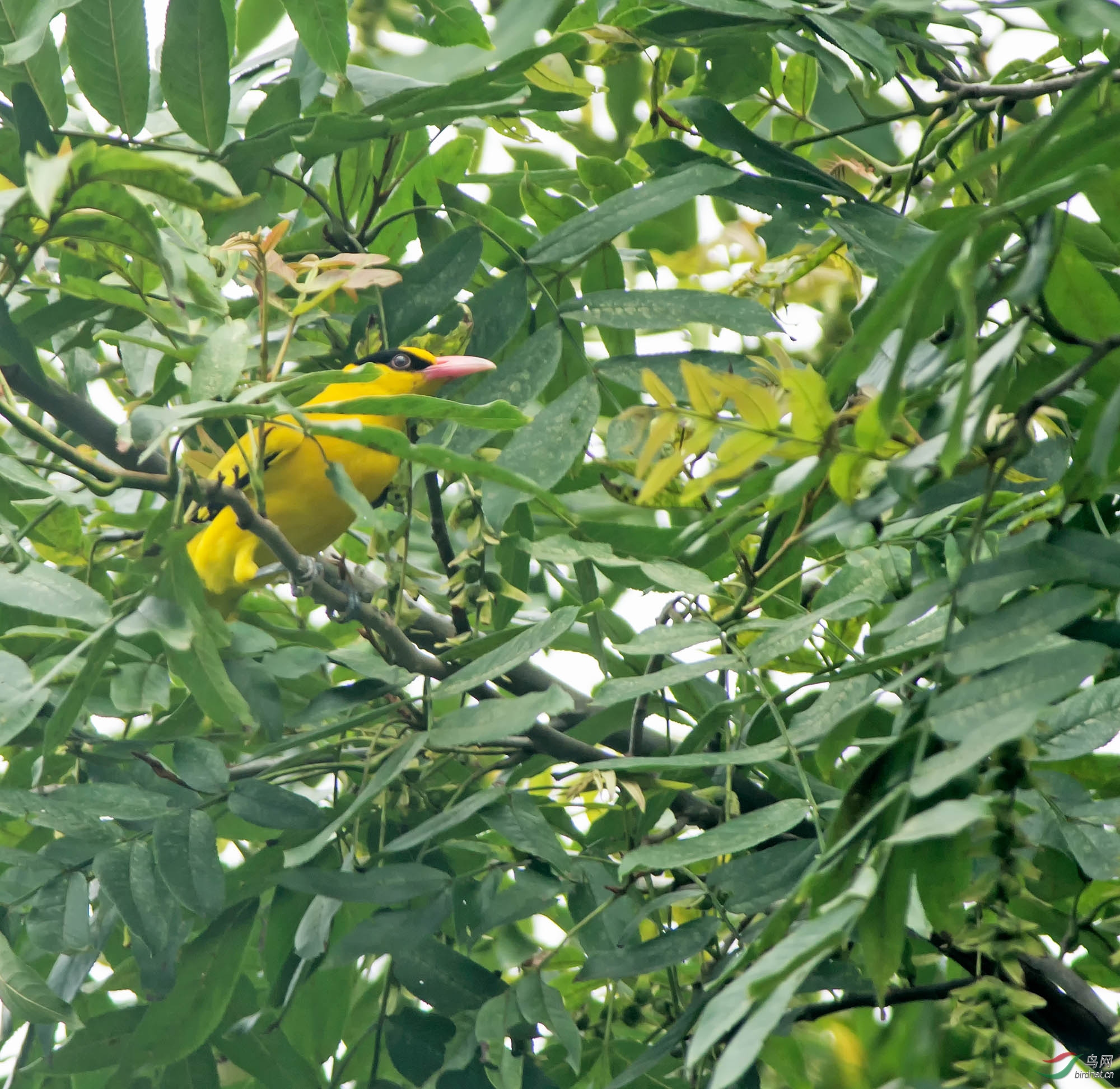 DSC_5924.jpg