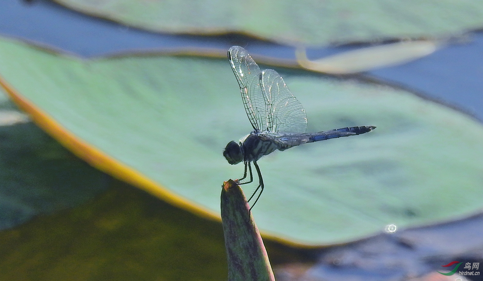 DSCN9244.JPG