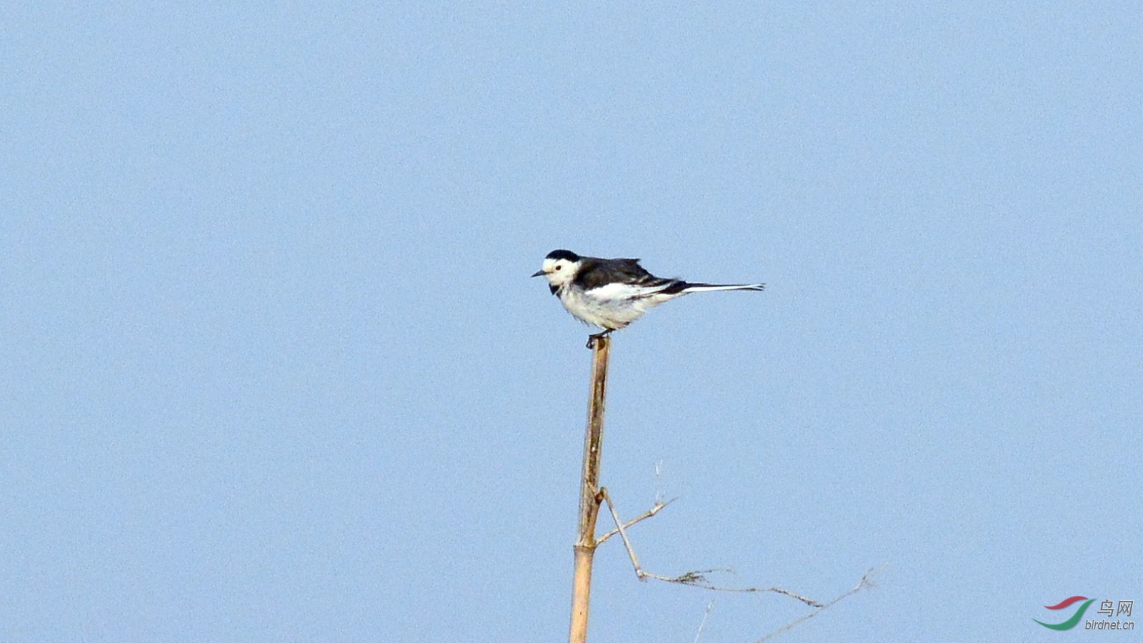 DSC_8756.JPG