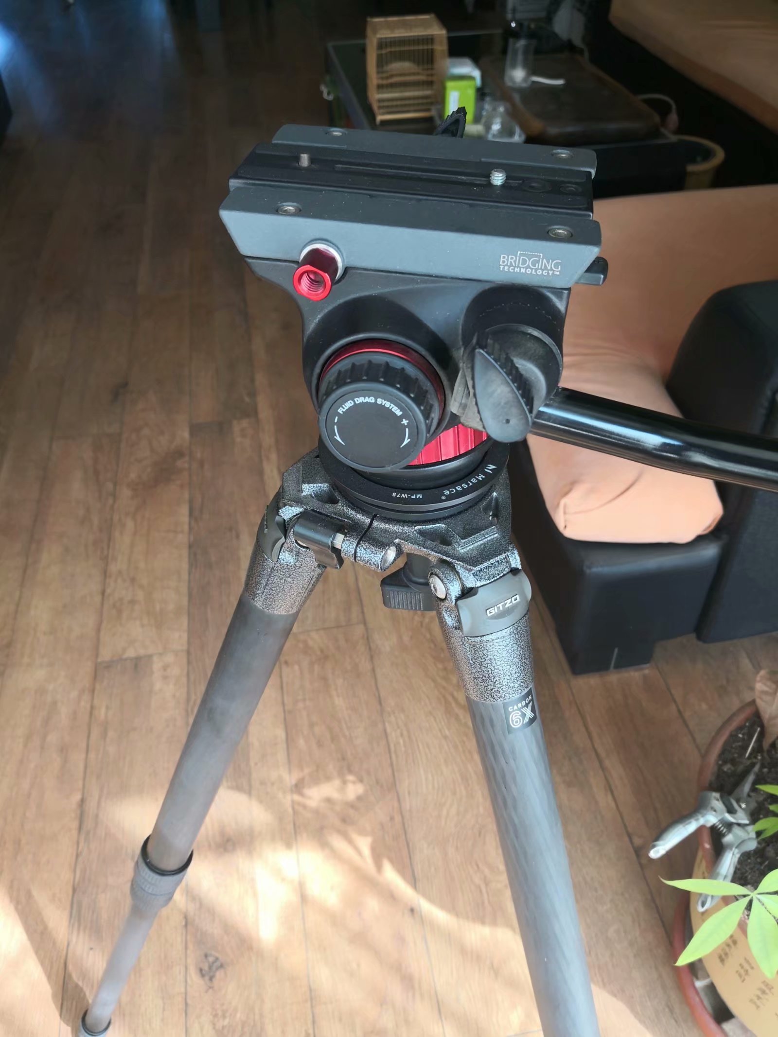 GT4542LSȫ�º�����ͼ502ȫ��