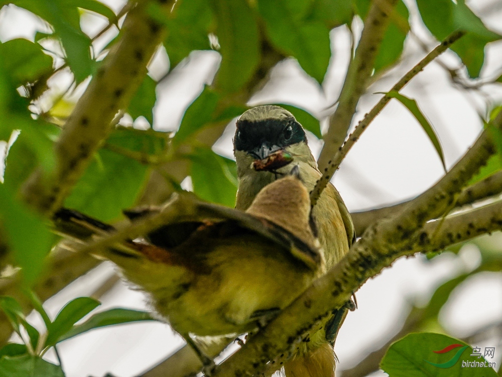 06 ��������.jpg