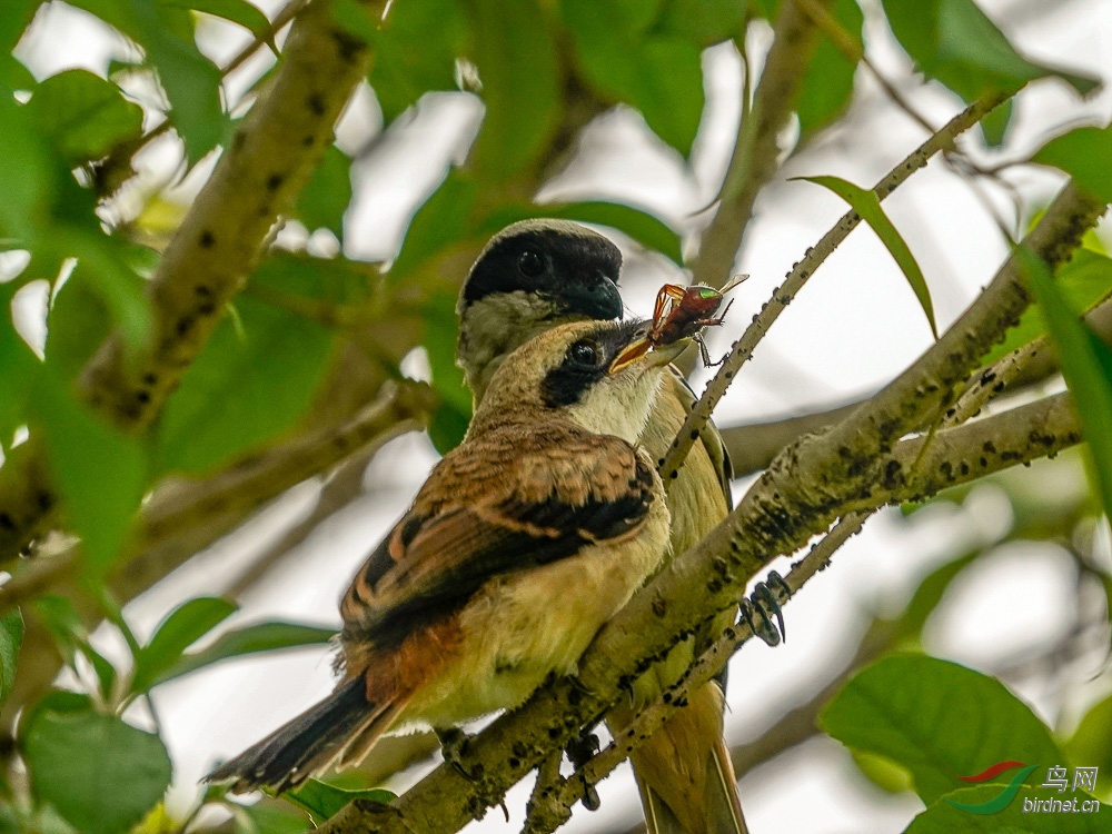 07 ���ó�.jpg