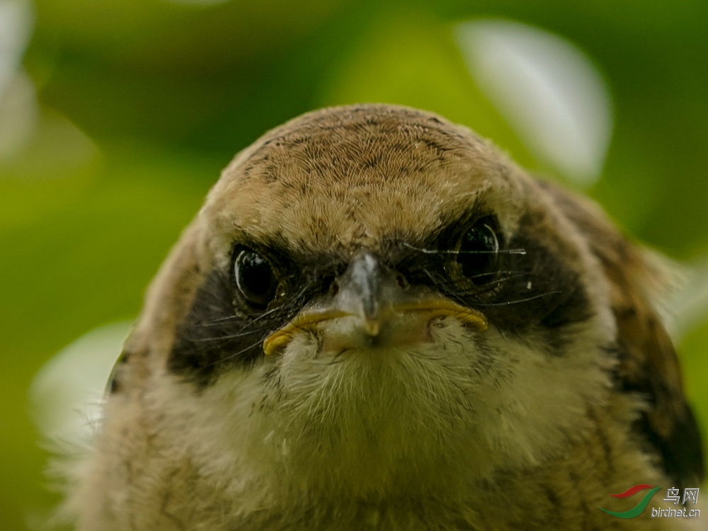 09 ���ڻ���.jpg