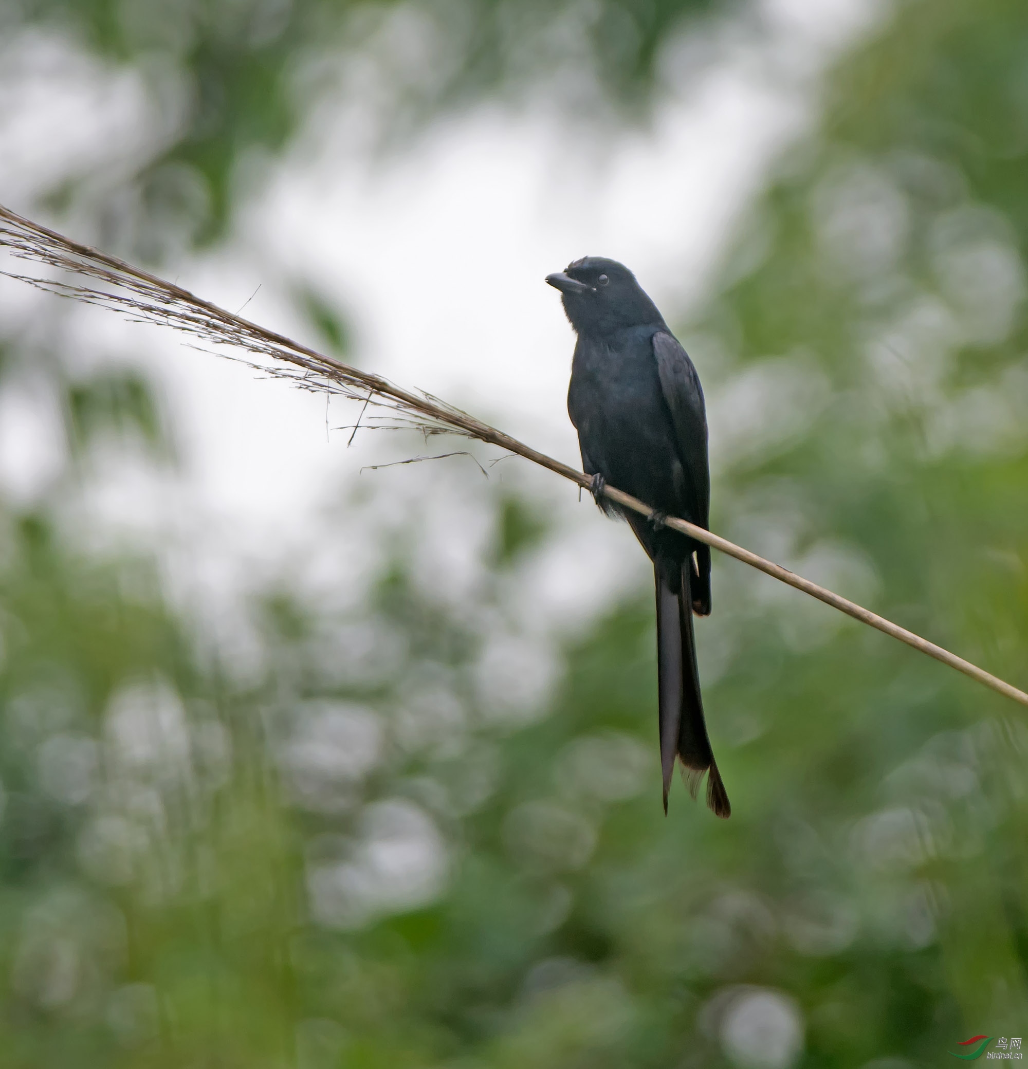 DSC_6103.jpg