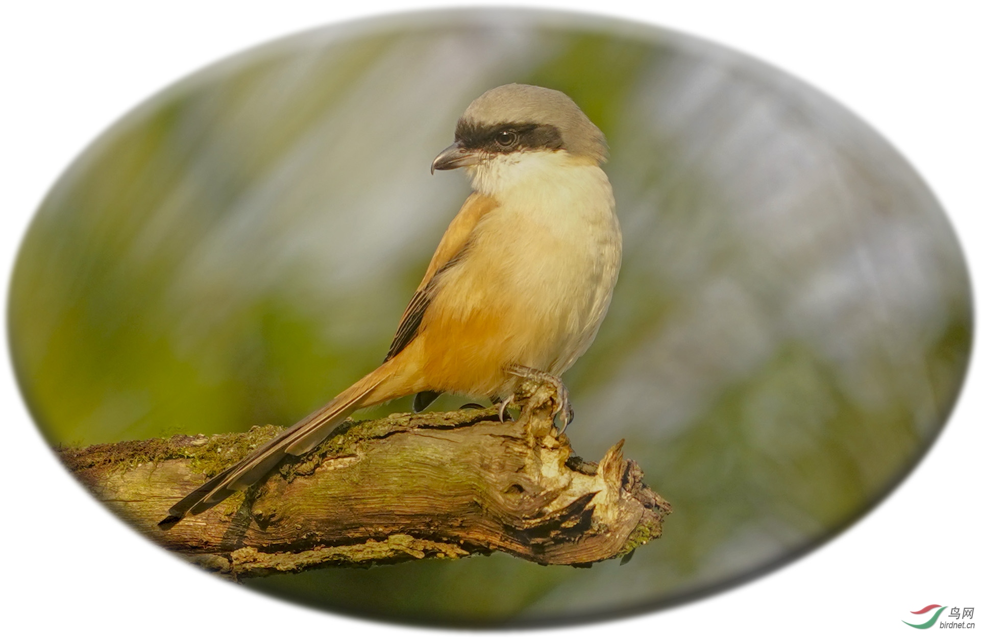 10 �������.jpg