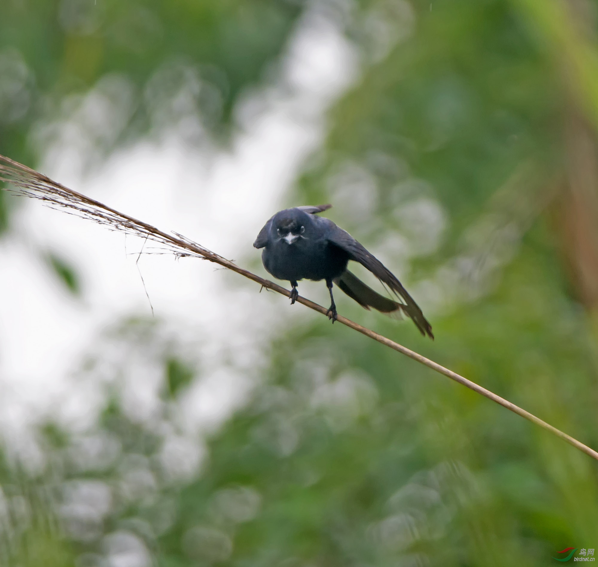 DSC_6098.jpg