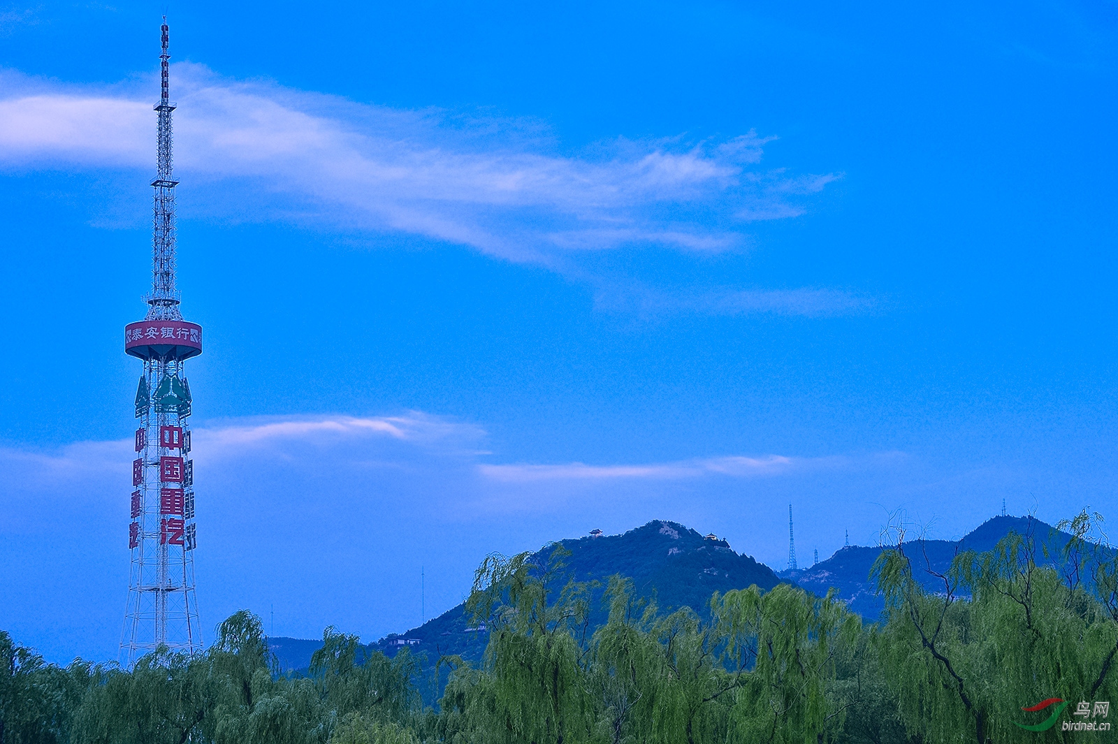 _D4S7013_5953a.jpg