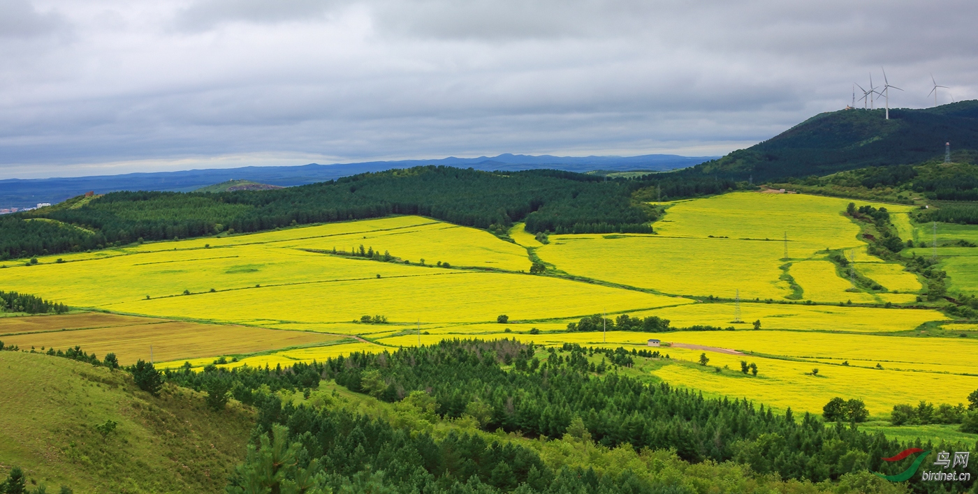 �Ͳ˻����ļ���