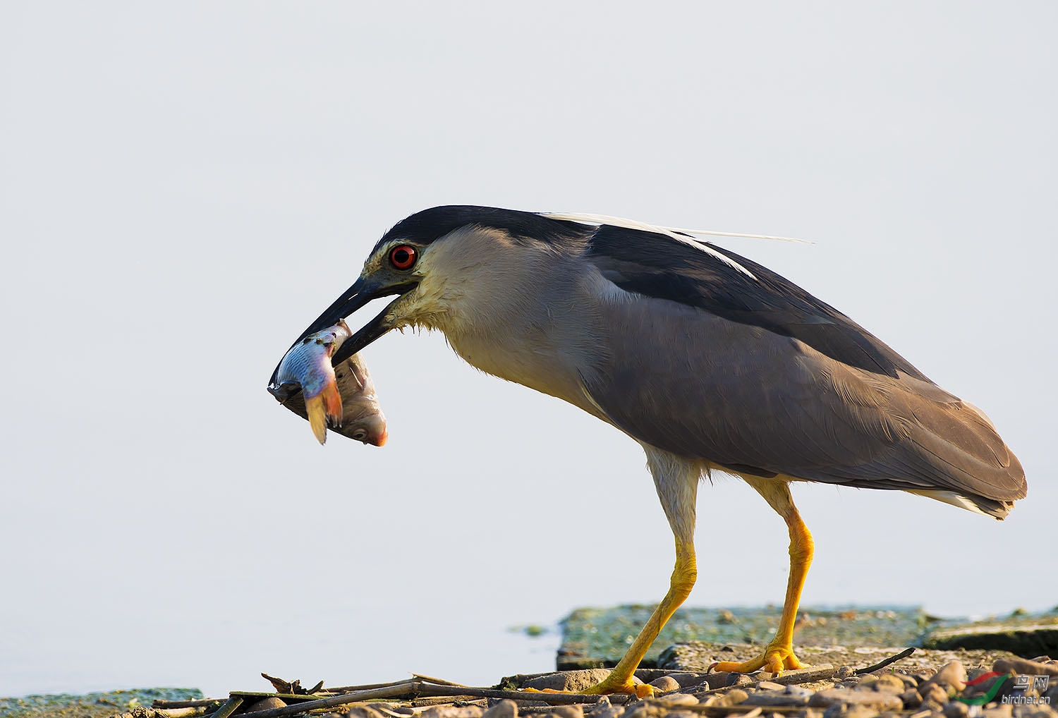 DSC_4659.jpg