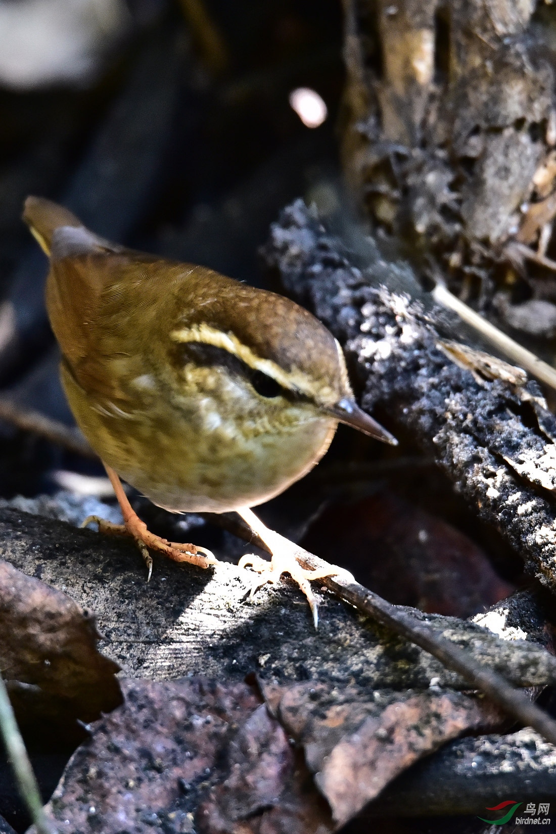 DSC_0360.JPG