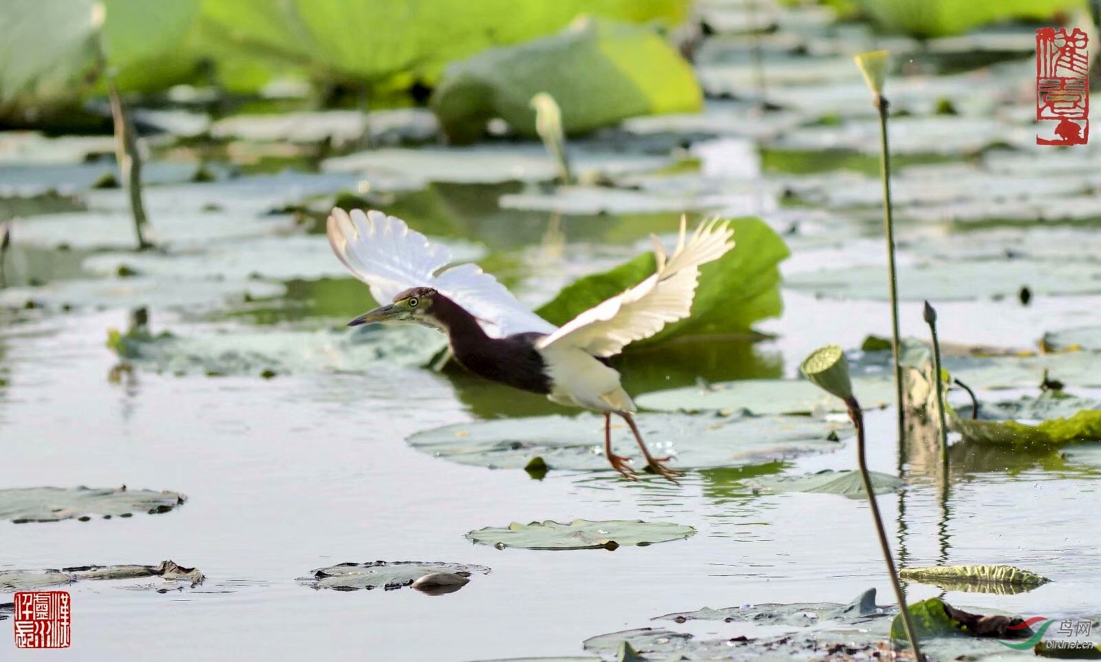 4AD032A6-CEEC-47DD-930C-E3C8F046AAC9.jpeg
