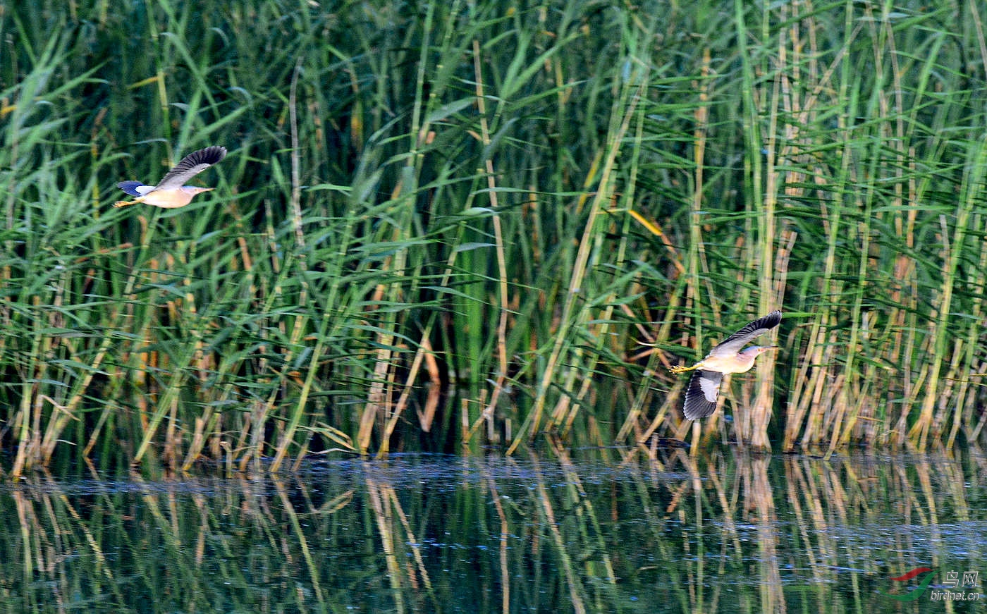 DSC_5285.JPG