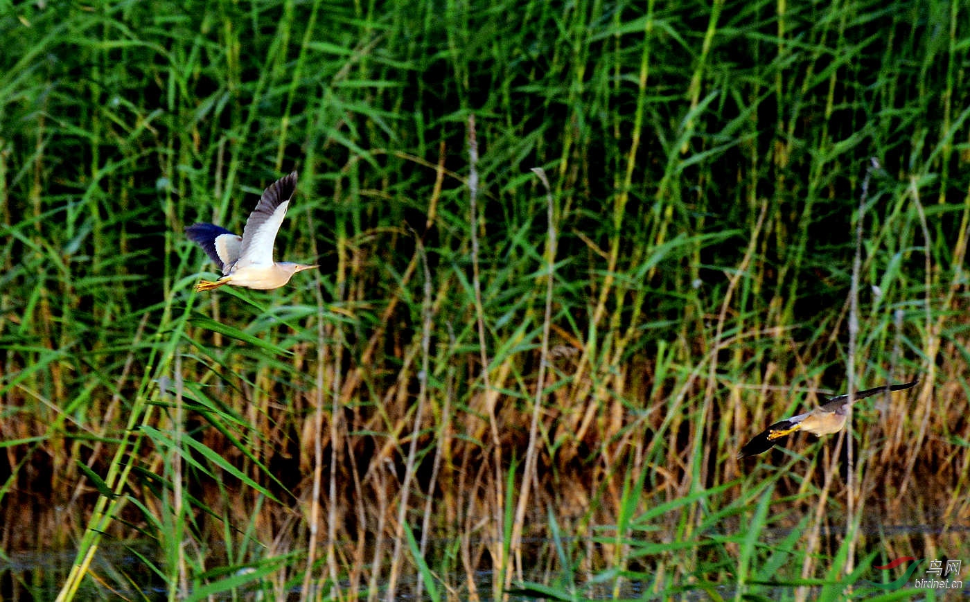DSC_5287.JPG