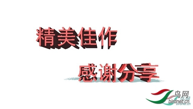 a3b1a95d5b549dbe64fc941fe939af73_085815n2ksqzqnzcxxbvxz.jpg