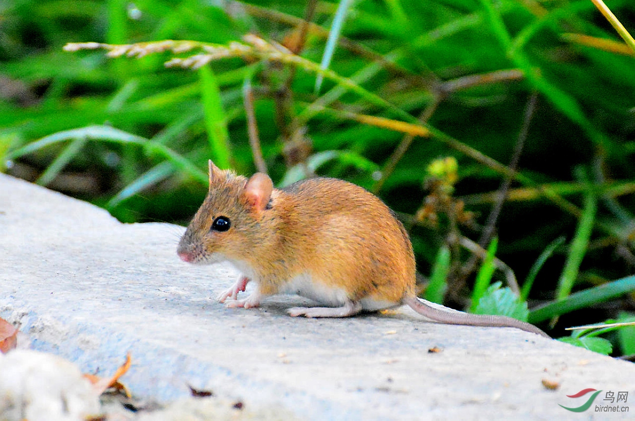 DSC_3717.JPG