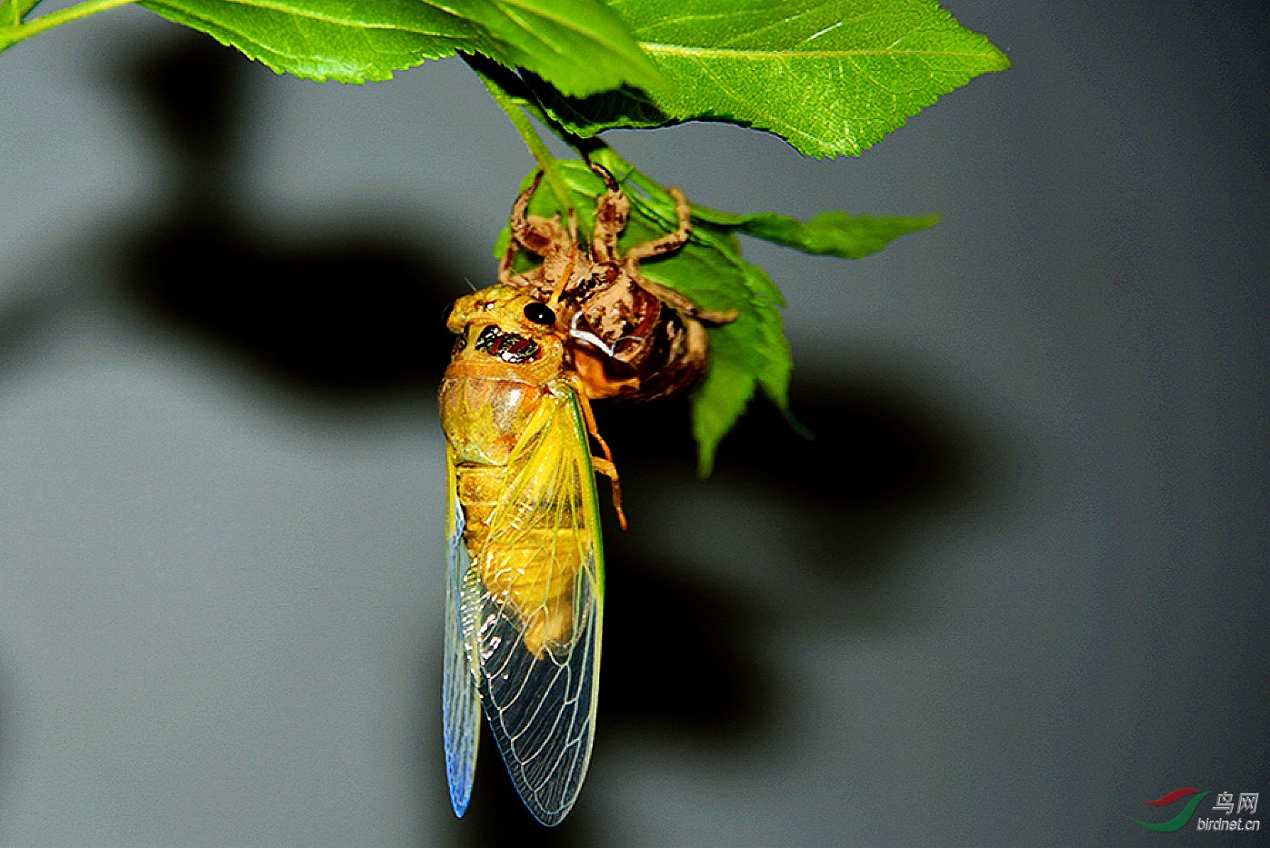 DSC_3075.jpg