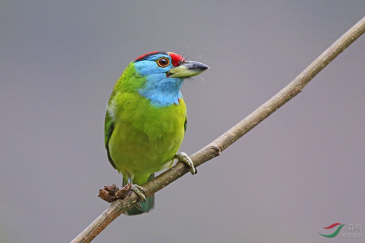 0B8A7885.JPG