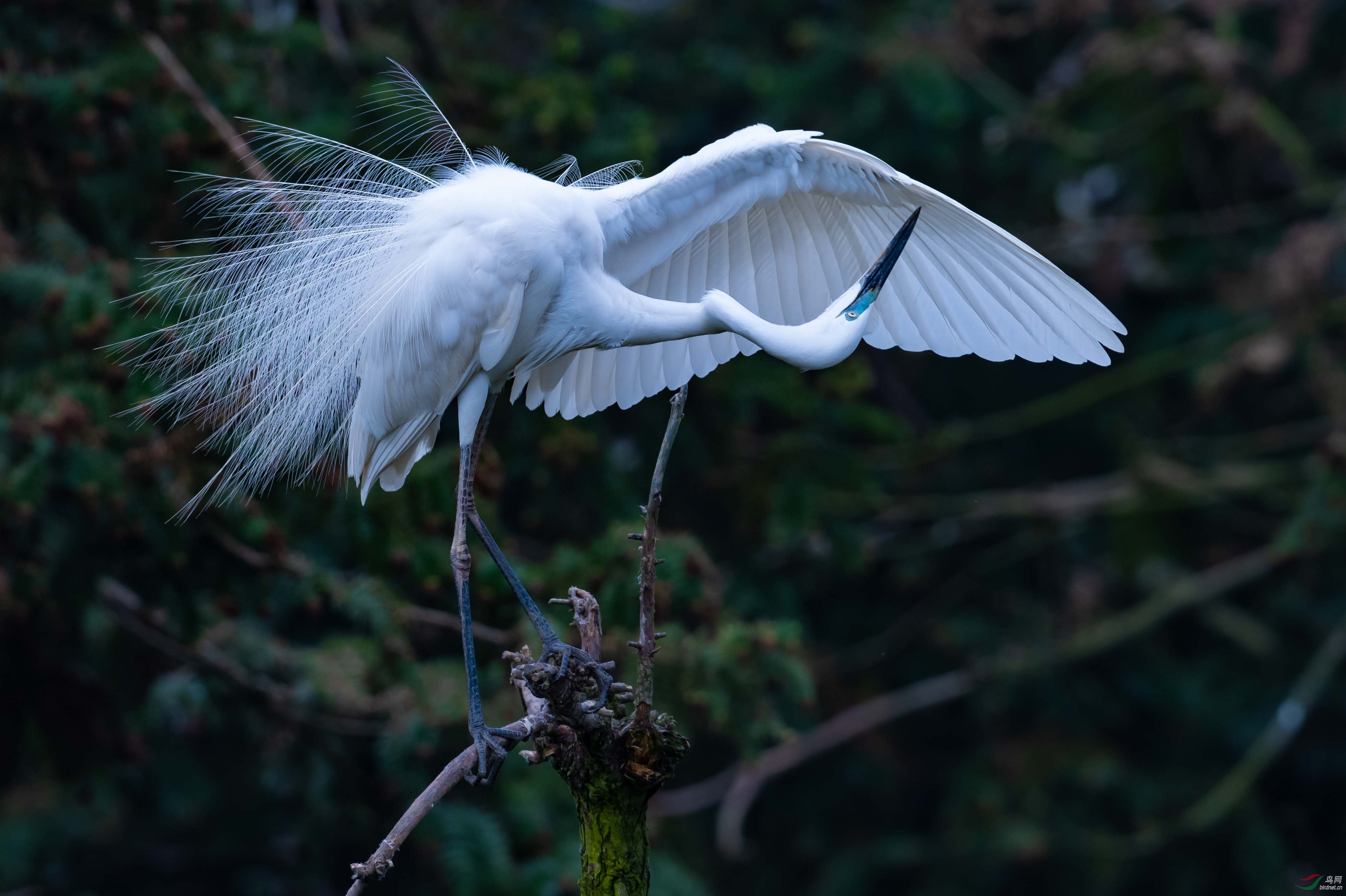 DSC_7578.jpg