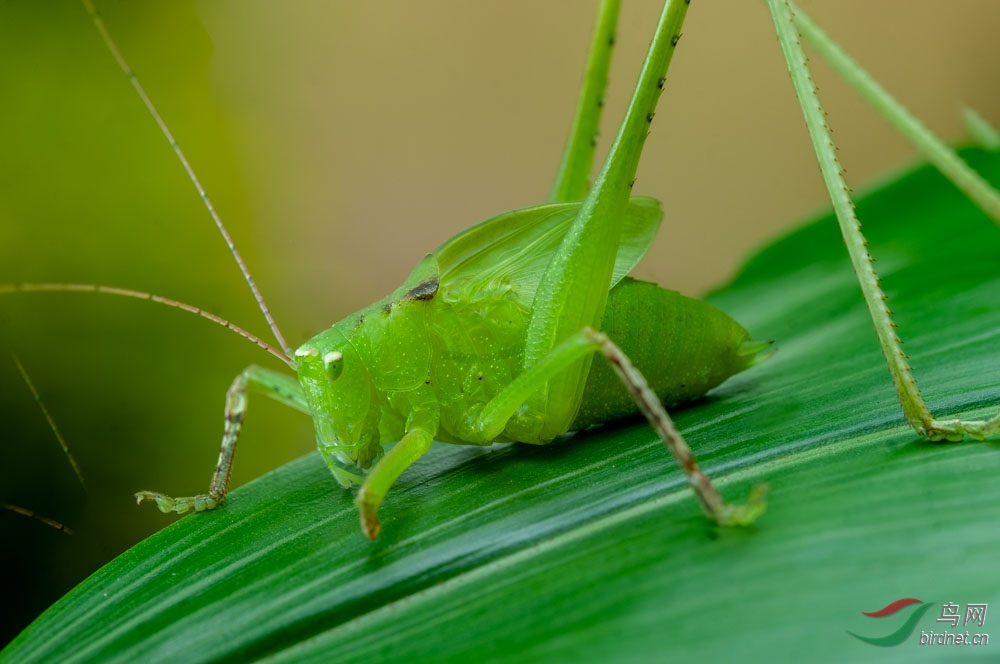 DSC_9543.jpg