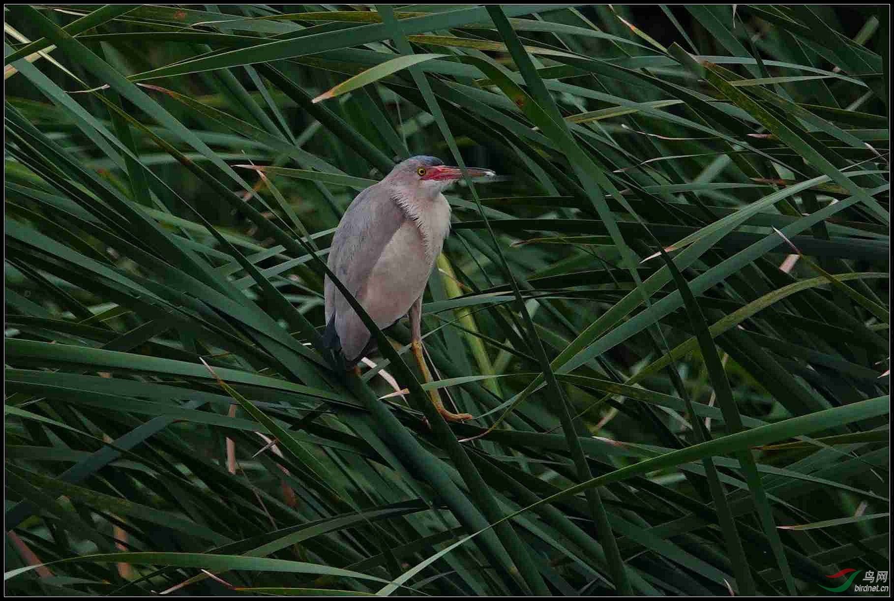 19-07-07 DSC0831501.jpg