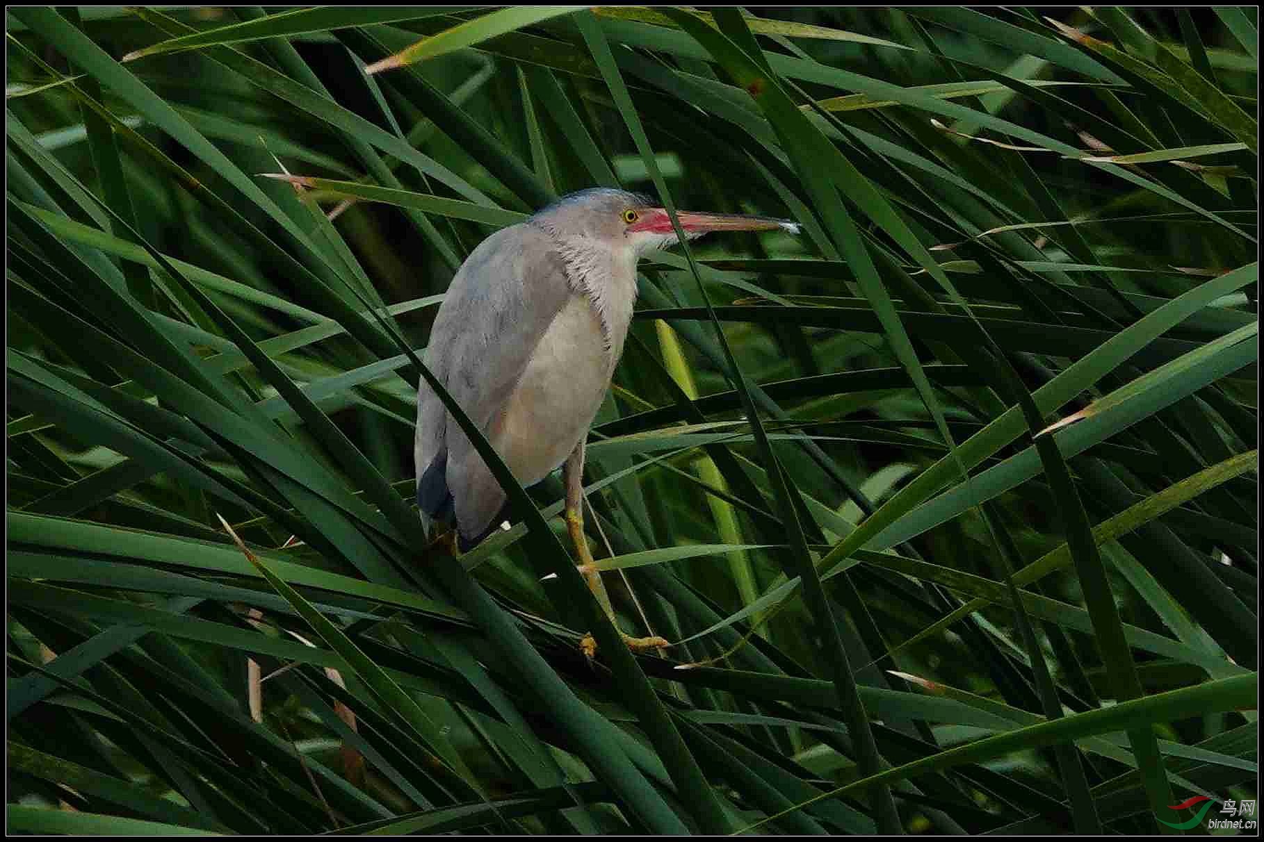 19-07-07 DSC0832602.jpg