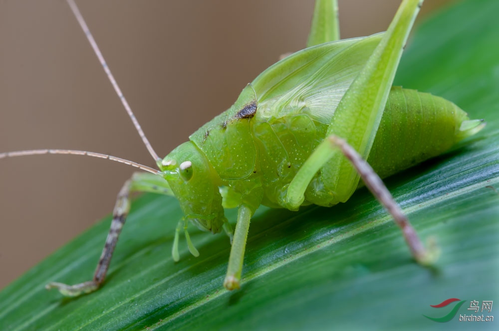 DSC_9539.jpg