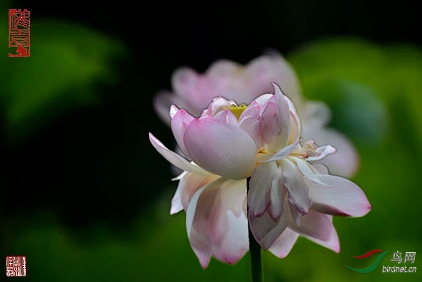D5900C7B-BEF8-4233-86F8-E5664C59AA5F.jpeg