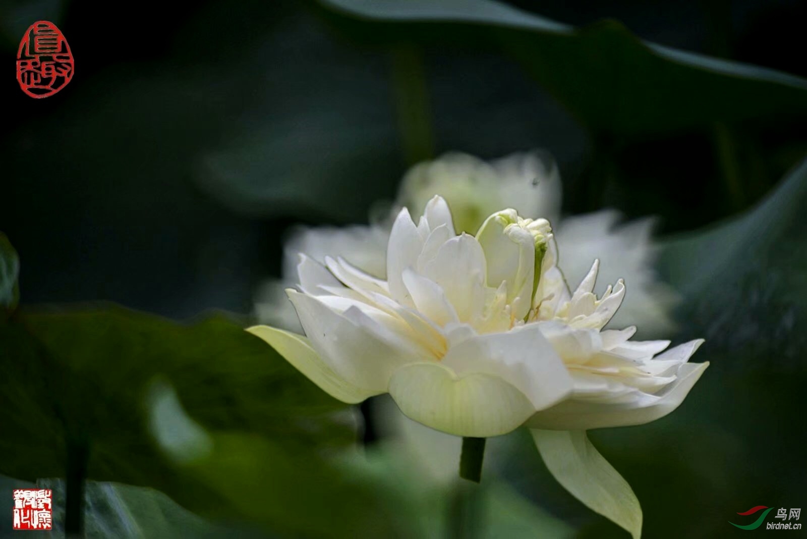 3E397569-A7AA-45BF-AD06-54D0B0CF387C.jpeg