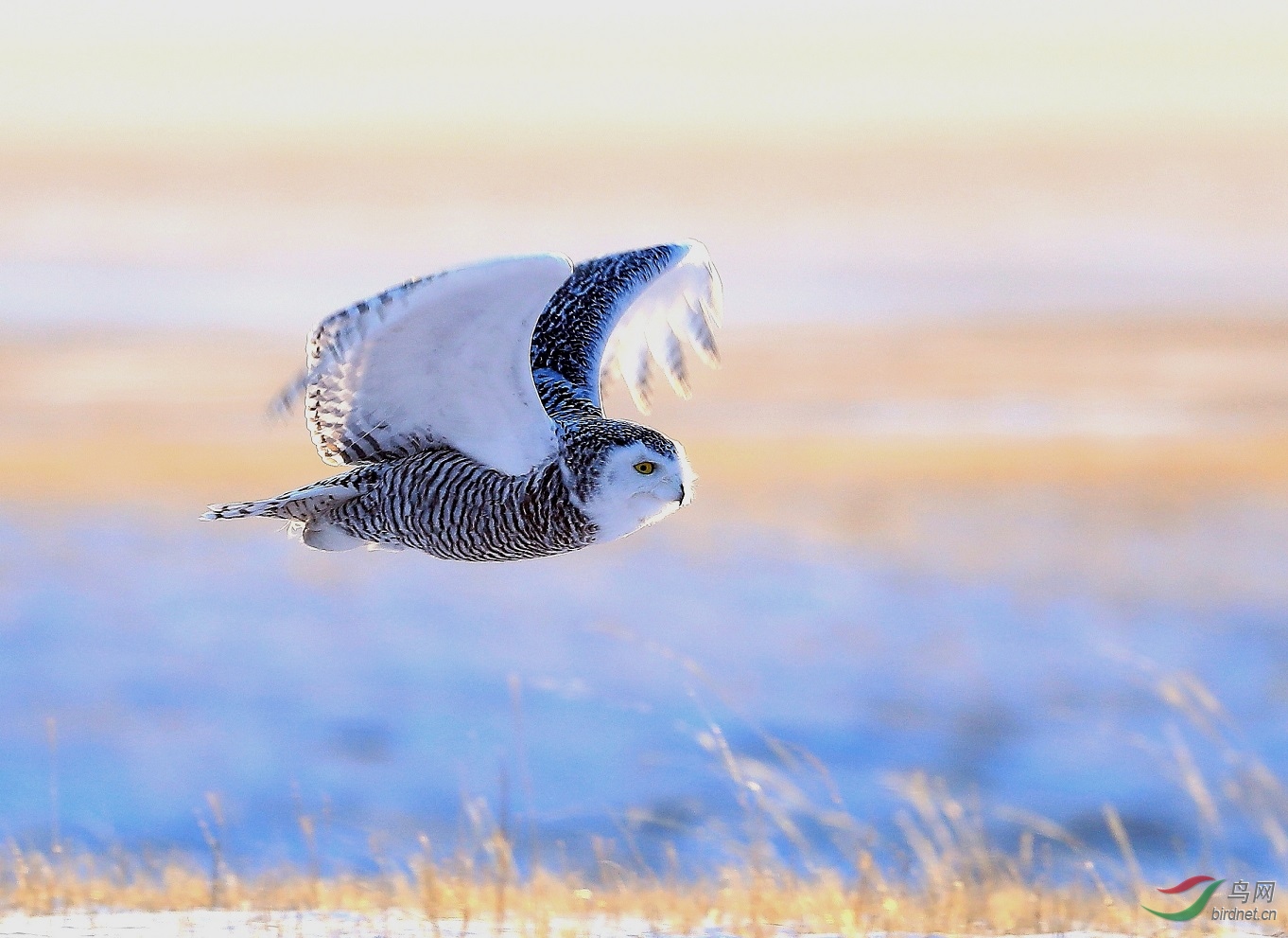 ����ʮ��