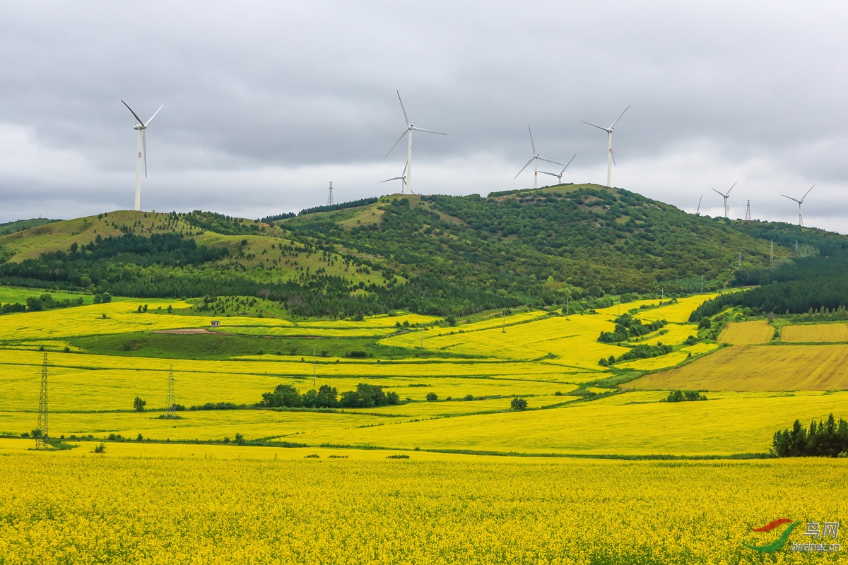 �Ͳ˻����ļ���2