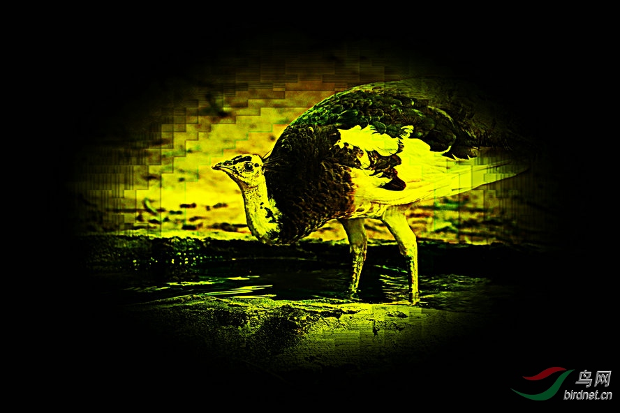 AQ1I9598_����_����.jpg