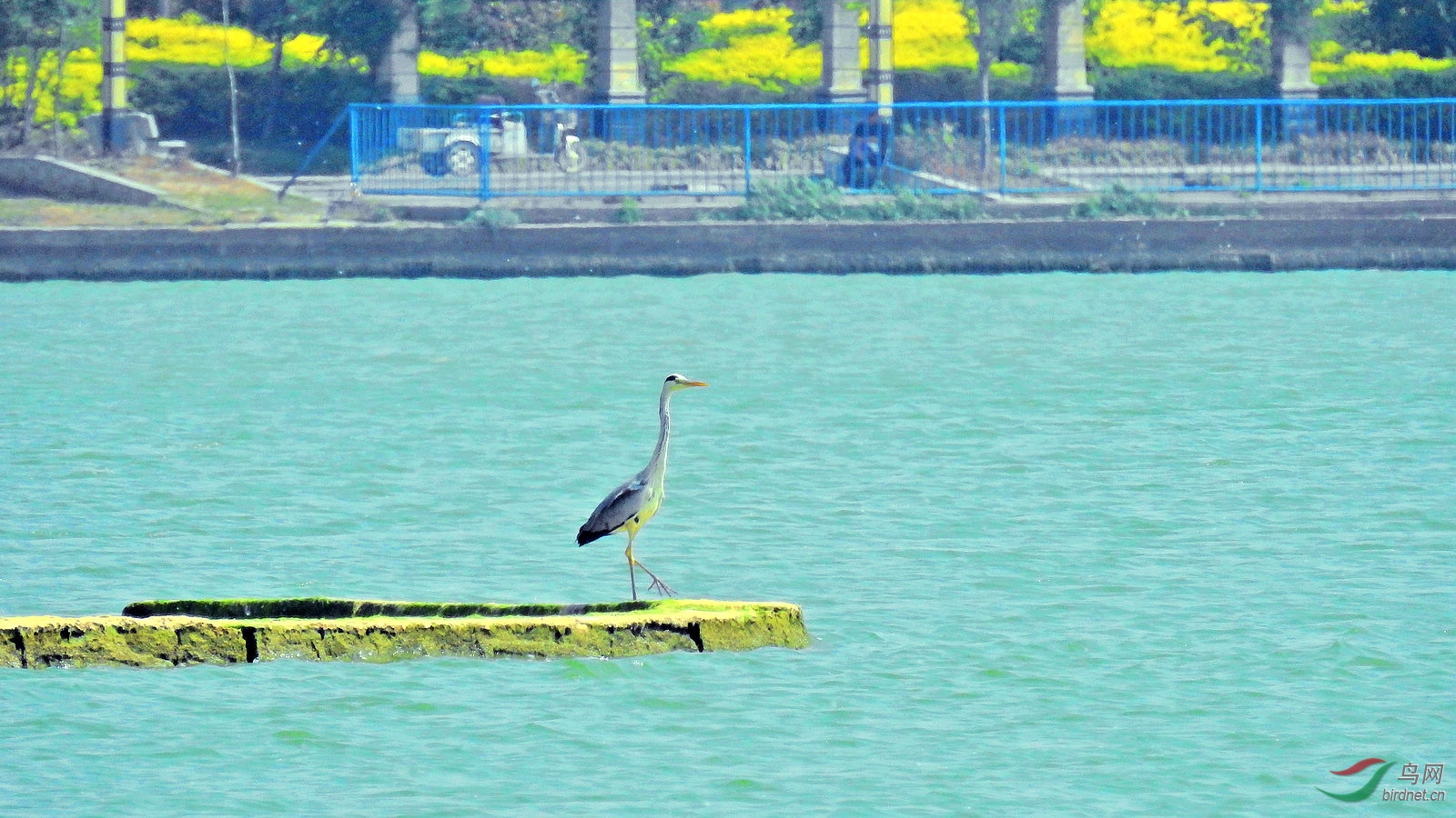DSCN8526.JPG