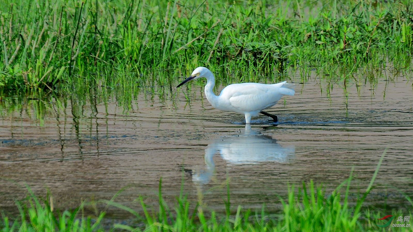 DSC_7152.JPG