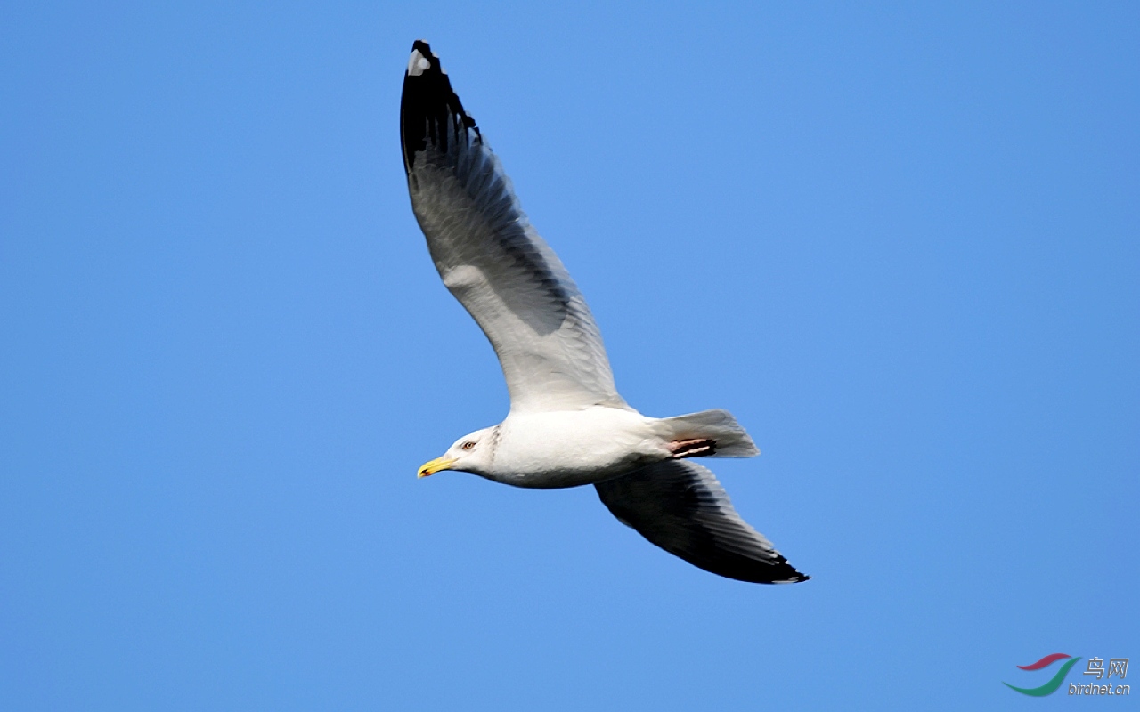 D50_7342.jpg