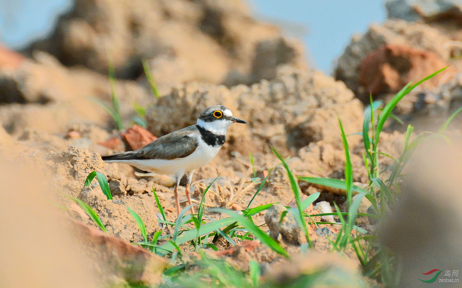 DSC_3619.JPG