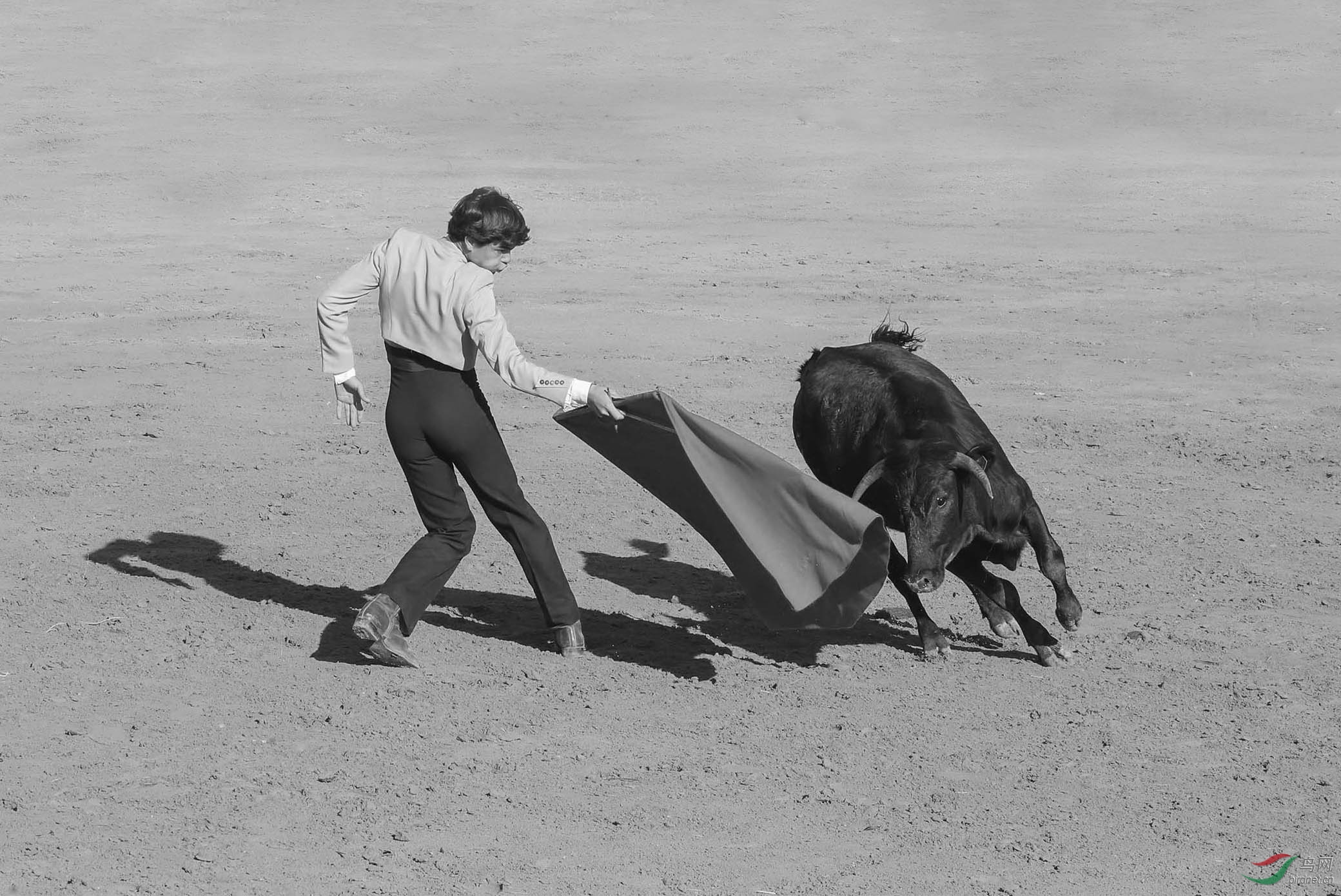 西班牙斗牛(祝贺荣获首页黑白影像精华)