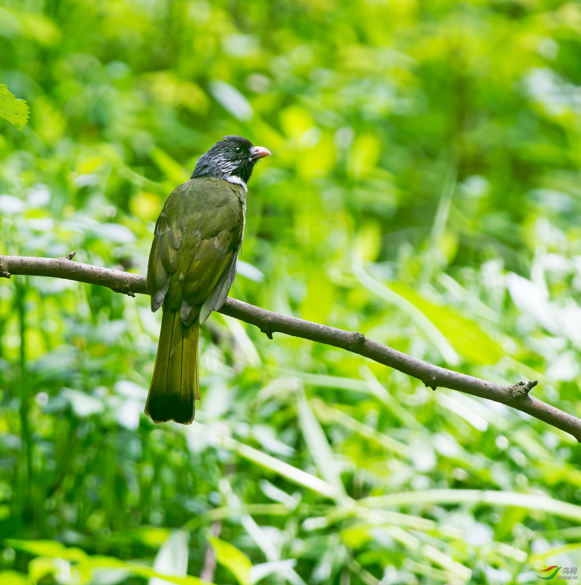 DSC_5608.jpg