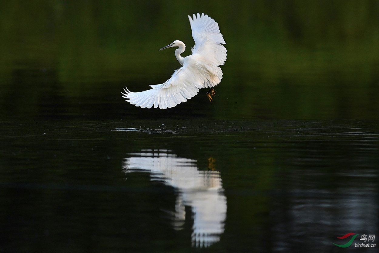 DSC_8401.jpg