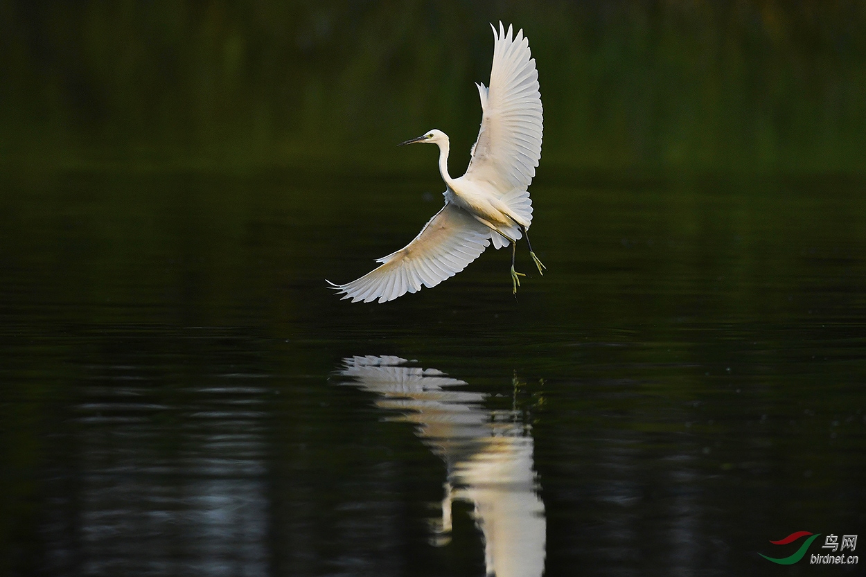 DSC_8403.jpg