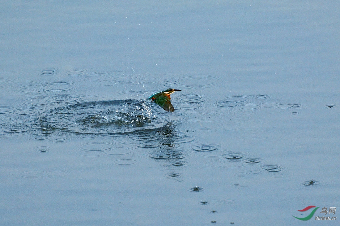 DSC_6959.JPG