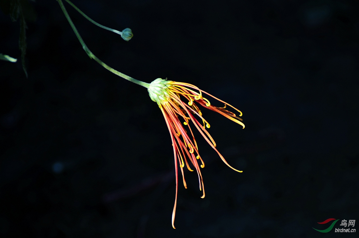 DSC_1220.JPG
