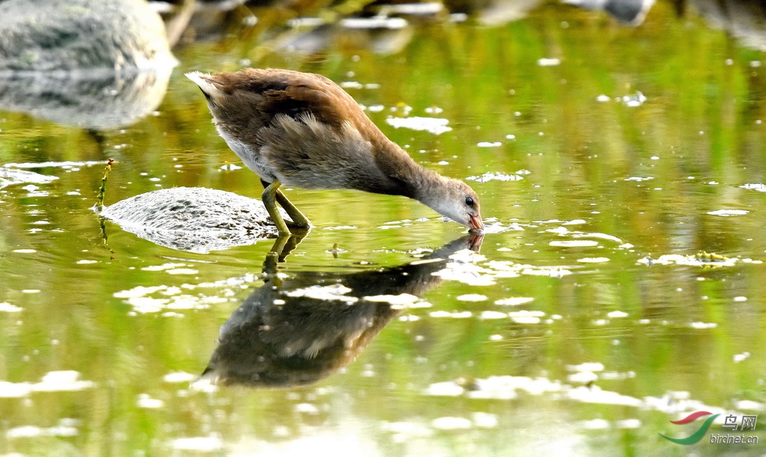 DSC_3538.JPG