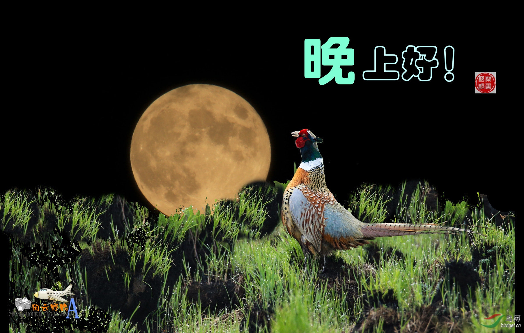 �ڶ�.jpg